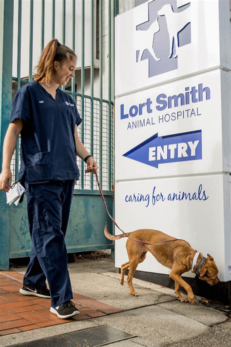 Smith animal hospital - OVC Smith Lane Animal Hospital At the Hill’s Pet Nutrition Primary Healthcare Centre 48 Smith Lane, Guelph ON N1G 4S7 Phone: 519-840-0100 Fax: 519-823-4469 . HOURS OF OPERATION. Monday 7:30am – 7:00pm; Tuesday 7:30am – 7:00pm; Wednesday 7:30am – 7:00pm; Thursday 7:30am – 7:00pm; Friday